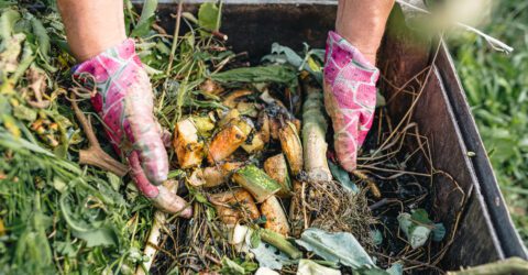 Site de compostage à Saint-Thurien