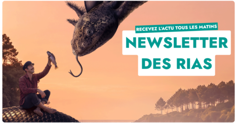 Newsletter des Rias