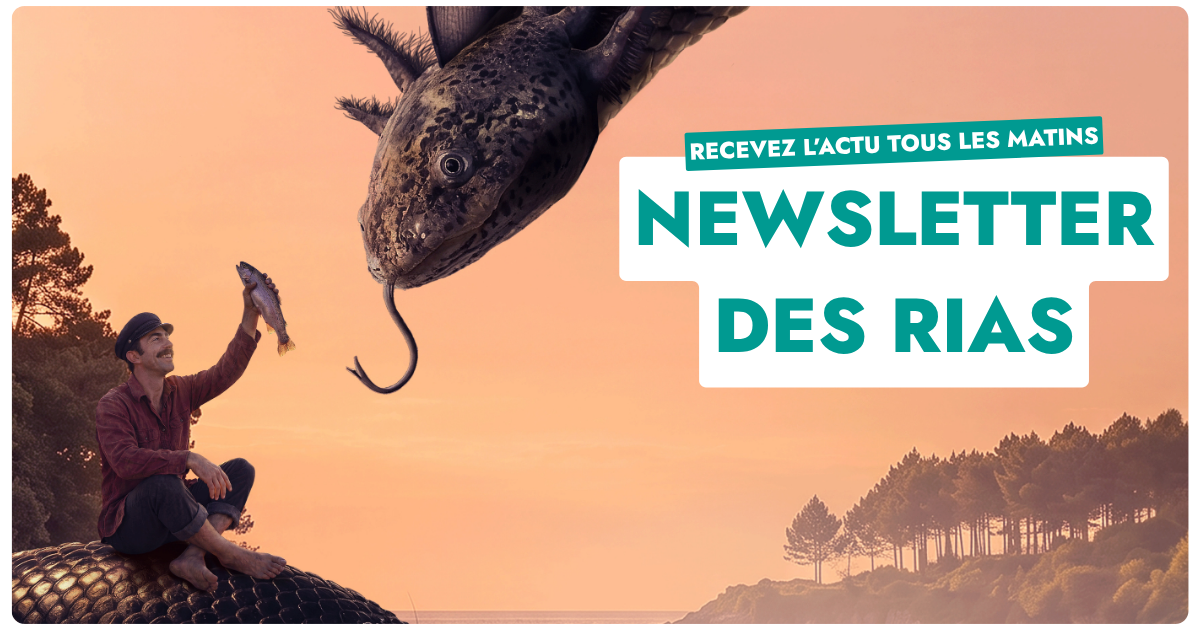 Newsletter des Rias